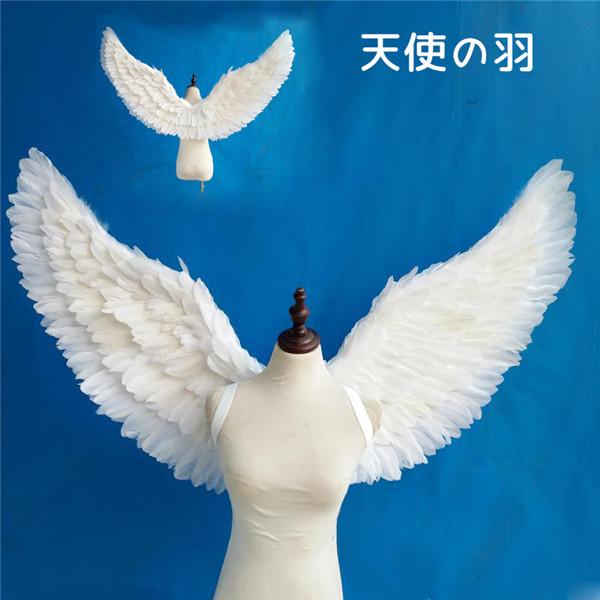Vg̉H RXv H  wingECO zCg ubNu[ p[v sN d Xe[WCxg cosplayp