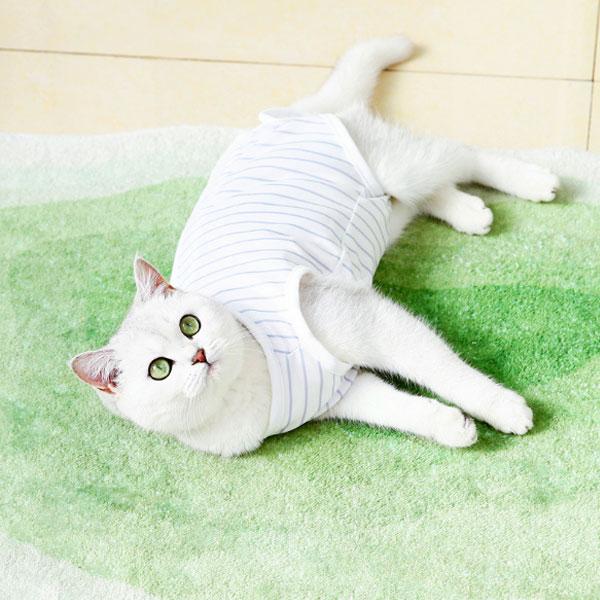 手術後の不快感を和らげる傷口保護に最適な猫用のペット用服です。ボーダー柄のかわいらしいデザインで、ペットのおしゃれも楽しめます。サイズも豊富に揃っているため、様々な猫種に対応可能です。素材は柔らかく着心地が良いため、猫にとってもストレスが少...