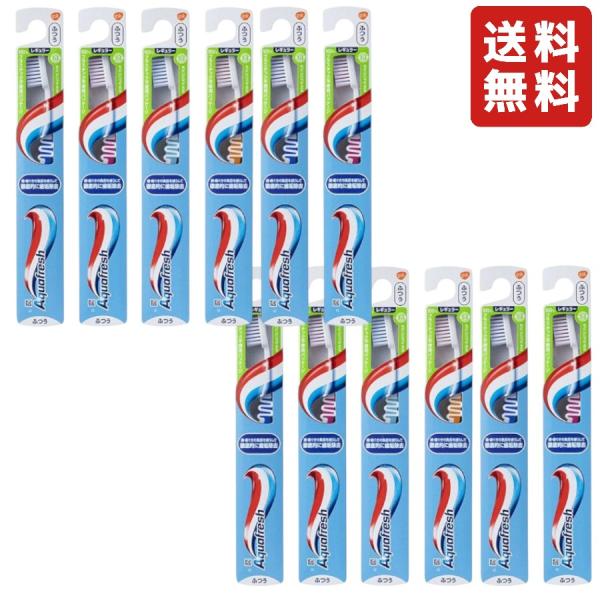 【12本セット】アクアフレッシュ 歯ブラシ レギュラー (ふつう) 歯磨き ハミガキ 歯 歯ぐき デンタルケア 口腔ケア むし歯予防