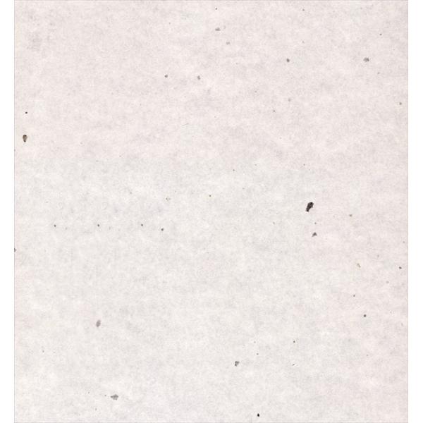 bsOy[p[() (a)  lZS 300