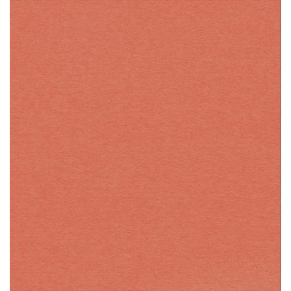 bsOy[p[() ܂񂾂 ׂ񂪂(a) lZ˔ 500