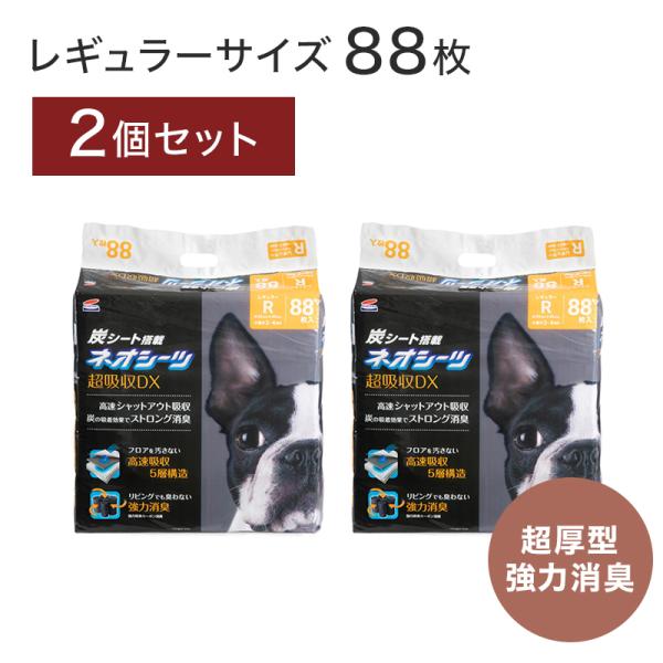 2個セット 定期便 ネオシーツ カーボンDX 超厚型 炭シート レギュラー