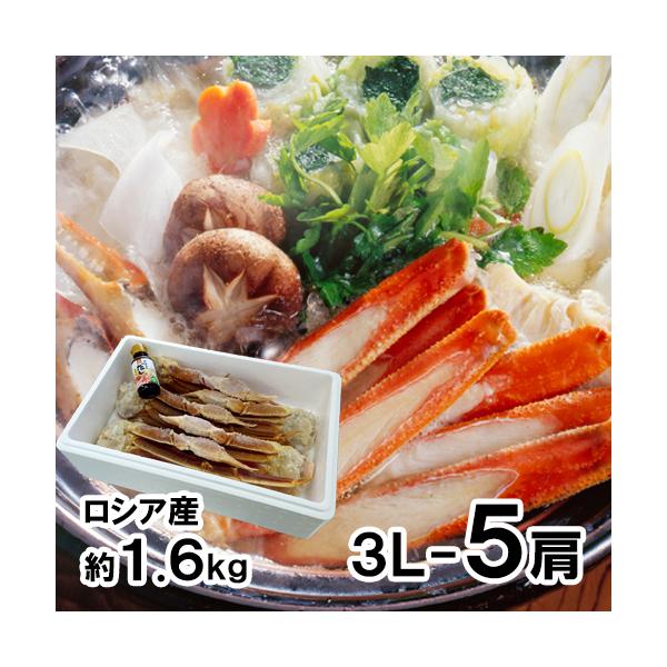 かにすきセット 3L 5肩 送料無料 ずわいがに ズワイガニ ずわい蟹