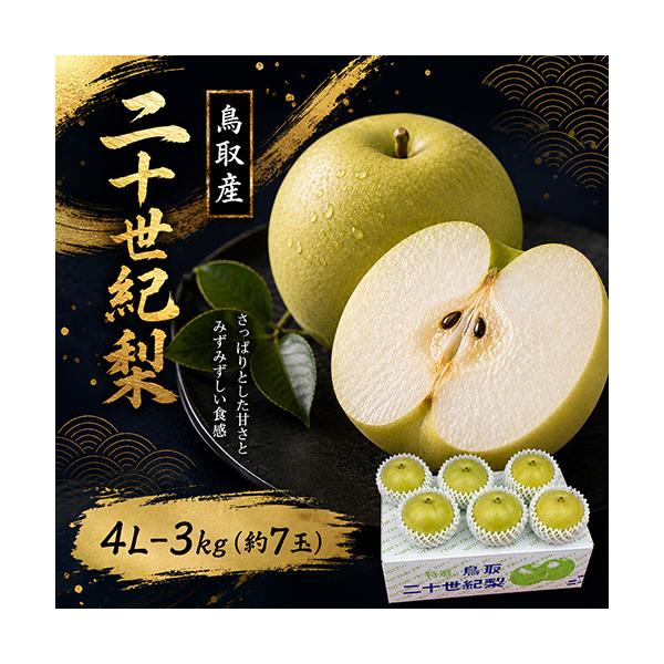贈答用 鳥取産 二十世紀梨 20世紀梨 4L-3kg 7玉前後 送料無料 : 株式