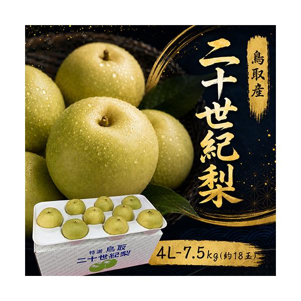 贈答用 鳥取産 二十世紀梨 20世紀梨 4L-7.5kg 18玉前後 送料無料