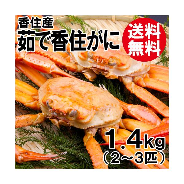 ZY 䥂ōZ 2`3C 1.5kg  xjYCKj g킢 gYCKj ZKj Jj  I  Yn Mtg