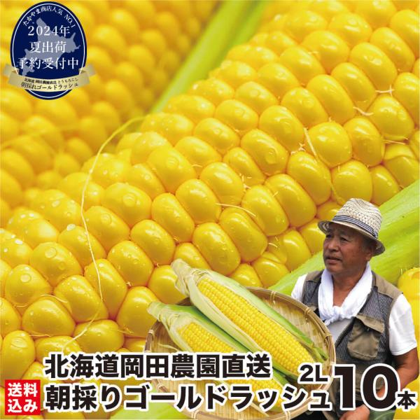 お中元 とうもろこし 北海道産 ゴールドラッシュ 2Lサイズ× 10本 (400g前後/本) 朝採り スイートコーン 七飯町 岡田農園 産地直送 送料無料