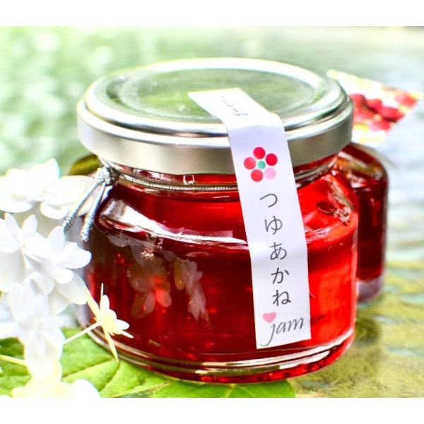 露茜 L〜2L 15kg 和歌山県産 梅酒 シロップ ジャム 露茜(つゆあかね