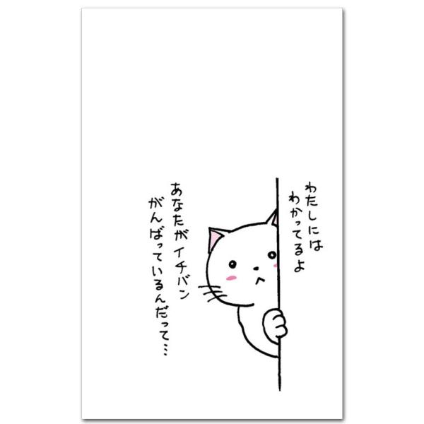 킢L̂ۂ T 킽ɂ͂킩Ă jV ay