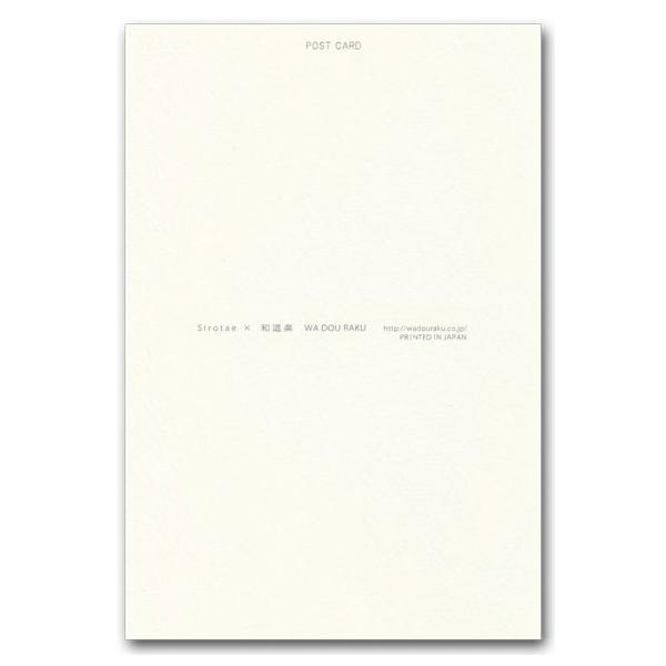 和風イラストポストカード 染絵風 桜兎 春のイラスト 絵葉書 Buyee Buyee Jasa Perwakilan Pembelian Barang Online Di Jepang