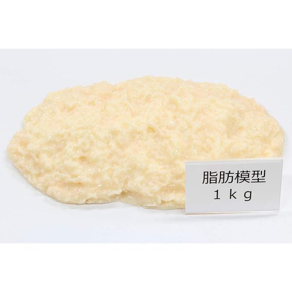 川崎フードモデル 脂肪模型 1kg×2個 ダイエット教材 健康指導用 美品 脂肪サンプル 脂肪模型 食品サンプル 実物重量 ダイエット