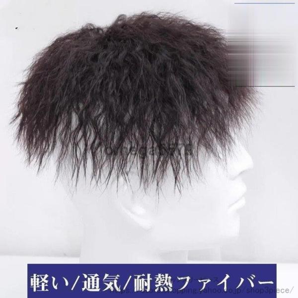 【品名】：メンズウィッグ【カラー 】：全2色【サイズ】：F【素材】：耐熱性ファイバー【産地】：中国検索ワード：ウィッグ ロング ショート　フルウィッグ 部分ウィッグ　つけ毛　グラデーション ウイッグ カール ウェーブ 自然 セミロングウィッ...
