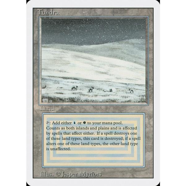 MTG □土地/英語版□ 《Tundra》リバイズド 3ED : ツクモヤ ヤフー店