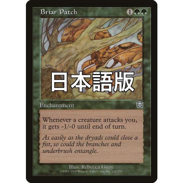MTG ■緑/日本語版■ 《茨の茂み/Briar Patch》メルカディアン・マスクス MMQ
