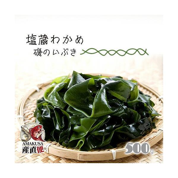 新もの塩蔵ワカメ500g ×21