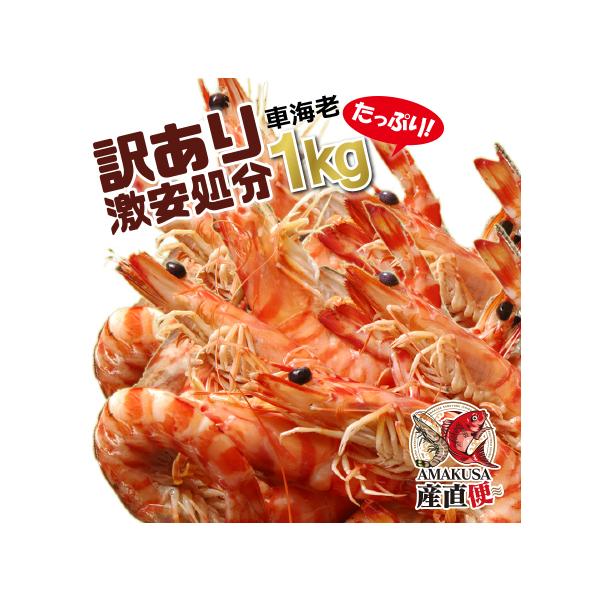 ※真空処理をしておりますが、海老の角などで袋に空気が入る場合がございます。品質に問題はございません。●商品情報　熊本県天草産 冷凍車海老●内容 1000g（500g×2PC）※尾数は、大きさにより40-80尾の間で変動する場合がありますが、...