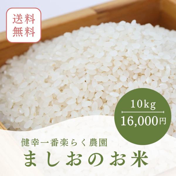 ましおのお米10kg （5kg×2袋）送料無料 熊本県 天草 完全無農薬米 健康