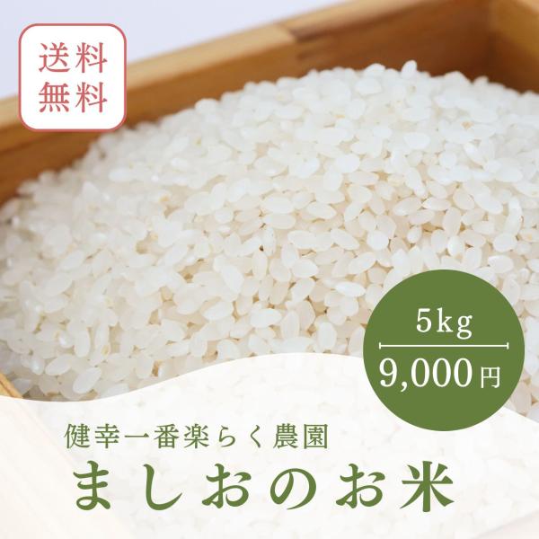 ましおのお米5kg 送料無料 熊本県 天草産 完全無農薬米 健康志向