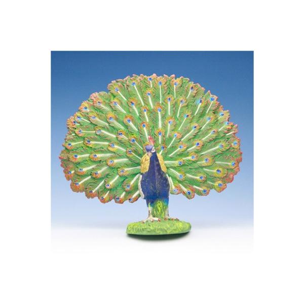 COLLECTA tBMA  NWN ChNWN