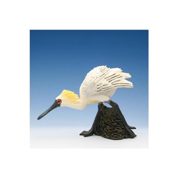 COLLECTA tBMA   ʃwTM 