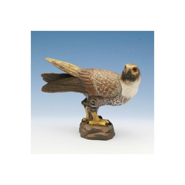 COLLECTA tBMA  ҋח nuT