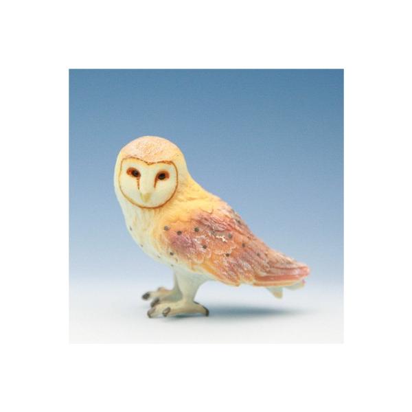 COLLECTA tBMA  ҋח tNE