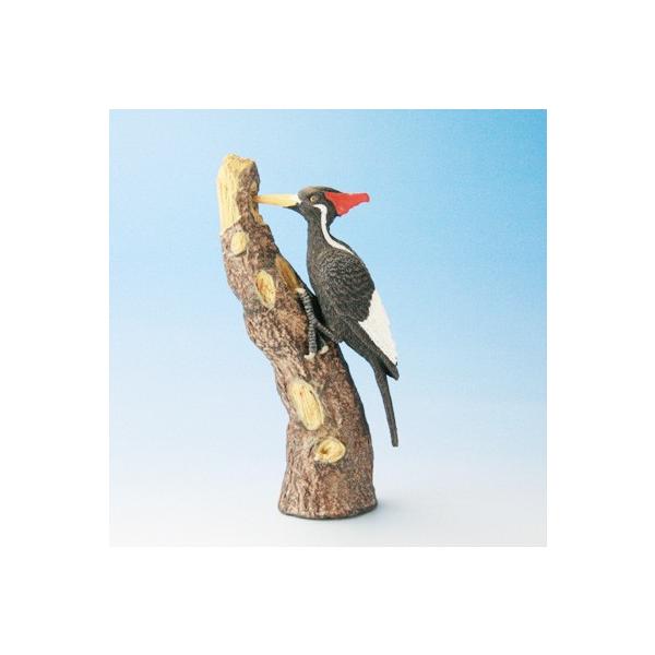 Collecta フィギュア 鳥 野鳥 ハシジロキツツキ Buyee Buyee 提供一站式最全面最专业现地yahoo Japan拍卖代bid代拍代购服务 Bot Online