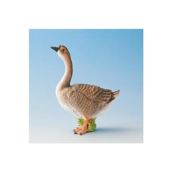 COLLECTA tBMA  Ƌ K`E