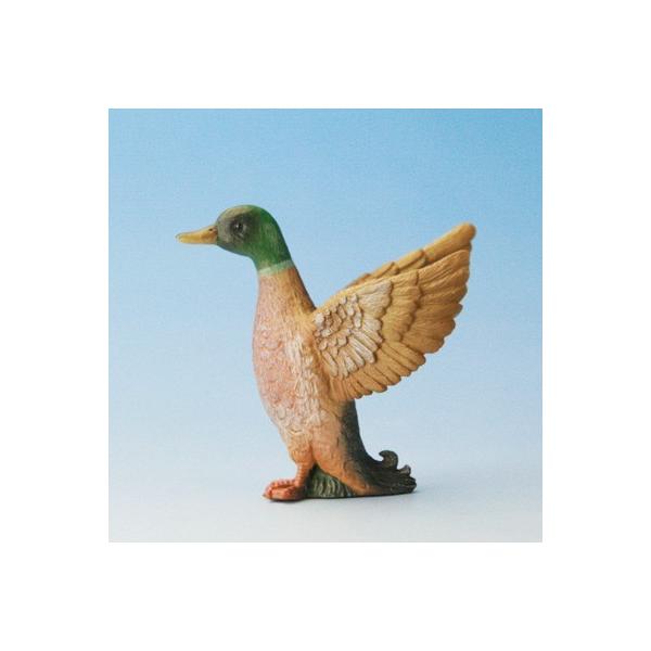 COLLECTA tBMA  쒹  }K