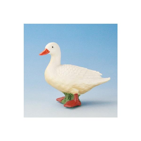 COLLECTA tBMA  Ƌ Aq Ɗ