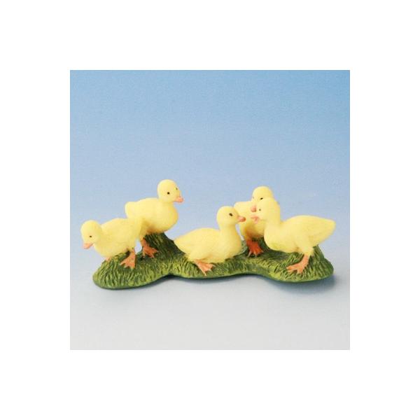 COLLECTA tBMA  Ƌ Aq̎e Ɗ