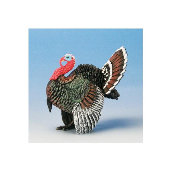 COLLECTA tBMA  Ƌ V``E