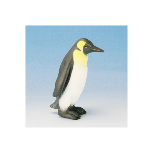 COLLECTA tBMA  Gy[yM