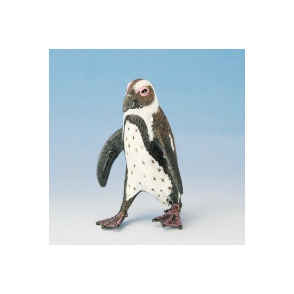 COLLECTA tBMA  P[vyM