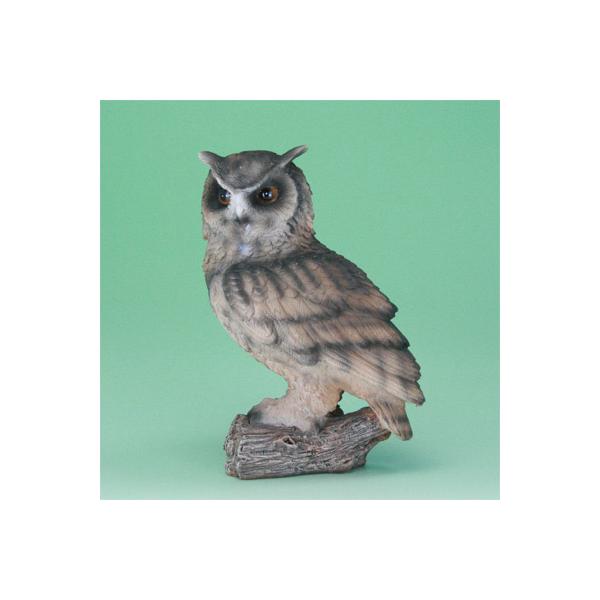 K[fI[ig  tNE  c ~~YN |W K[f IuWF