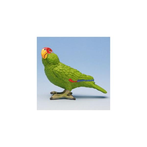 Tt@tBMA LVRAJ{EVCR zւ̂