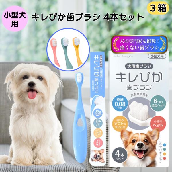 犬 歯ブラシ 小型犬用 キレぴか 4本セット 送料無料 デンタルケア 犬の