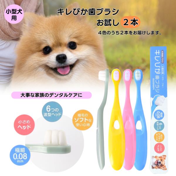 犬の専門家推奨 10000本植毛 犬 歯ブラシ キレぴか歯ブラシ 柔らか 歯茎にやさしい 0.08mm 極細毛 小型犬用 抗菌素材 強力洗浄 歯周病ケア