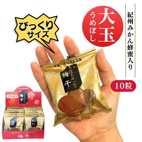 大玉梅干し 酸っぱすぎない梅干し おやつに、オフィスの引出しに、贈り物にも最適 個々包装