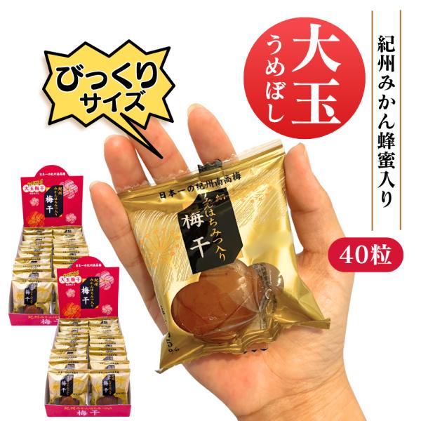 大玉梅干し 酸っぱすぎない梅干し おやつに、オフィスの引出しに、贈り物にも最適 個々包装