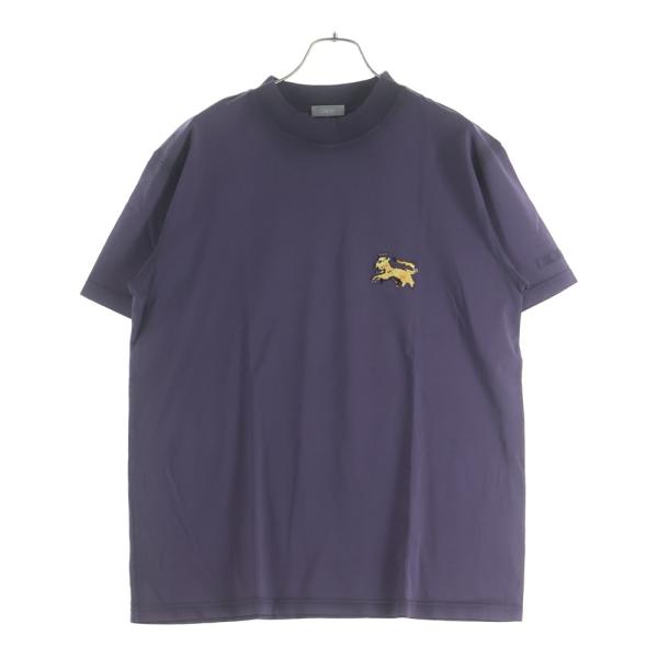 DIOR ディオール 21AW ×Peter Doig ピータードイグ タイガーパッチ