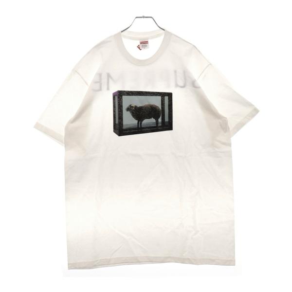 Supreme Damien Hirat Tee [797]