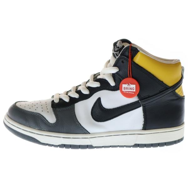 Nike SB ナイキエスビー 【観賞用 2004年製】 SBダンク 305050-101