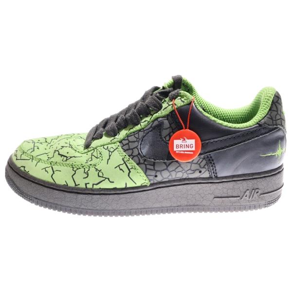 ナイキエスビー 【観賞用 2006年製】 AIR FORCE 1 HUFQUAKE エアフォース ハフクエイク ローカットスニーカー US10.5/28.5cm 315206-301