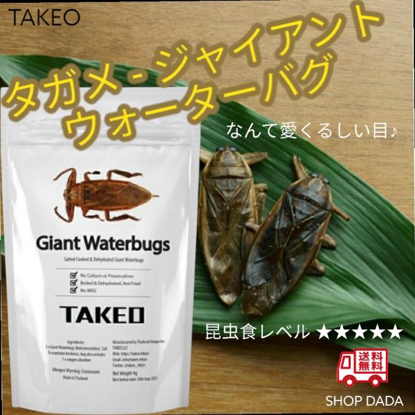 TAKEO 昆虫食 タガメ - ジャイアントウォーターバグ 2匹 食用虫 おつまみ 珍味 罰ゲーム ドッキリ イタズラ イベント サプライズ インパクト インスタ映え