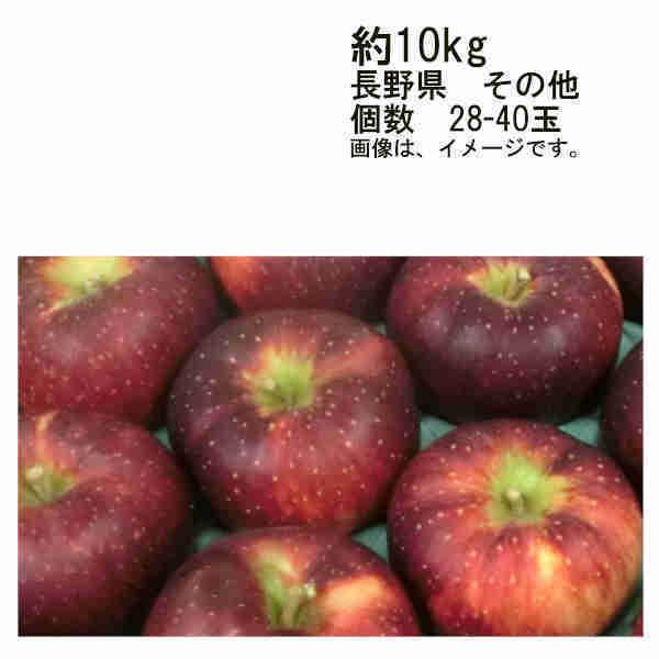  Hf ΂ 쌧 ̑ 10kg 28-40