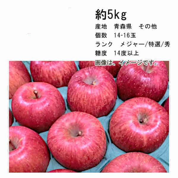 サンふじ　青森県産　糖度14度以上