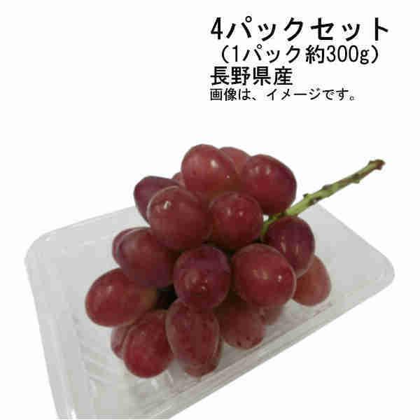  NC[[W Ȃ 炲OK 쌧 4pbNZbg i1pbN300gj