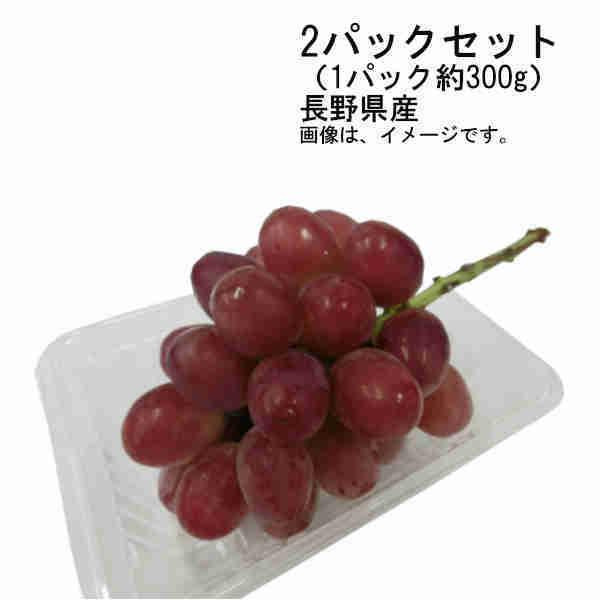  NC[[W Ȃ 炲OK 쌧 2pbNZbg i1pbN300gj