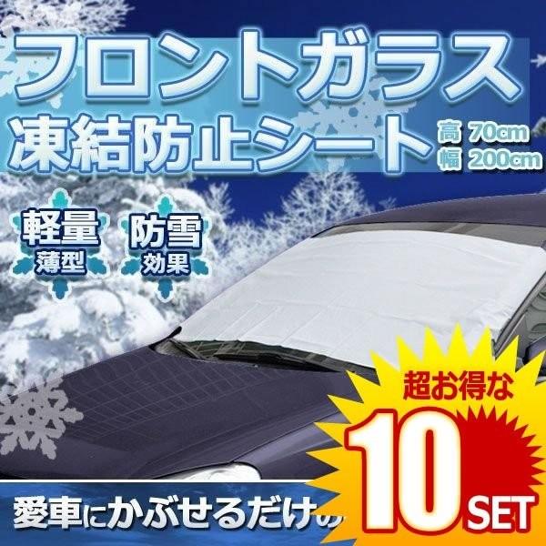 10セット 車用品 フロントガラス 凍結防止 当店一番人気 カバー ワイパースプレー 除雪 冬 ワイパー 車中泊 Nofreeze